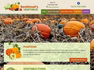 Agricultural Website Design